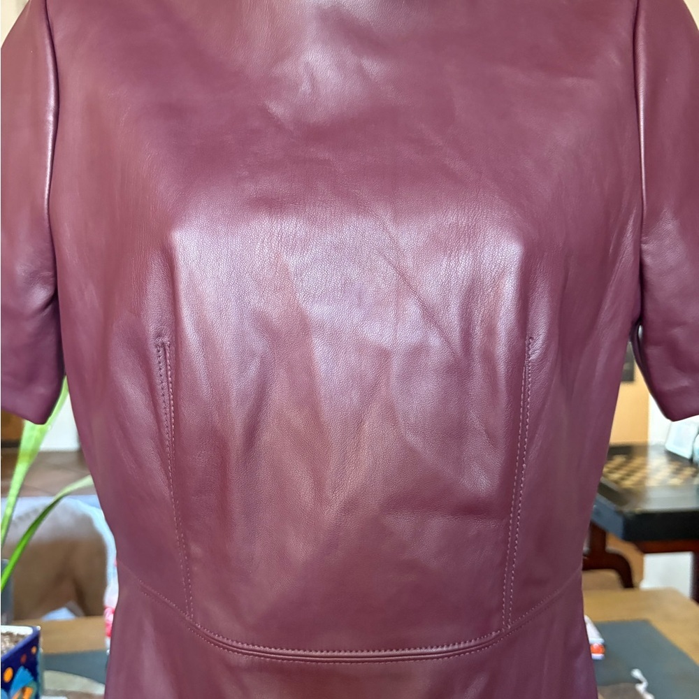 Ann Taylor Deep Burgundy Mini Dress - Picture 3 of 5